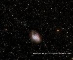 _www.warsztaty-fotograficzne.net_Calibrated-T24-mterajewicz-m1-20161222-210915-BIN1-E-300-001