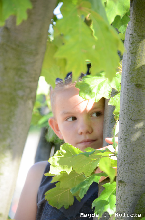 _www.warsztaty-fotograficzne.net_DSC_0104